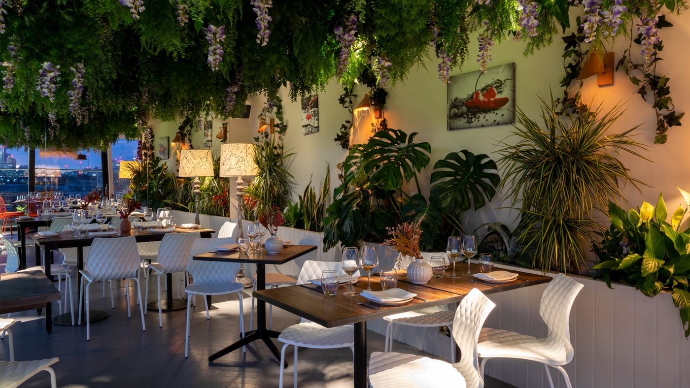Contact Miradora Rooftop for Unforgettable Dining